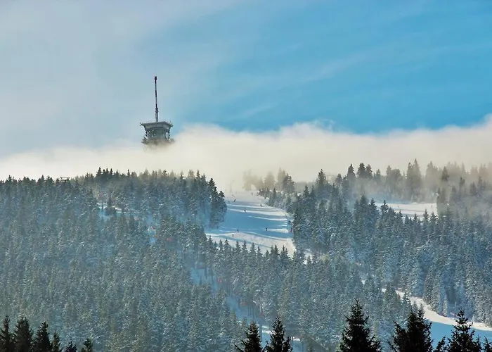 Mamutka-new شاليه